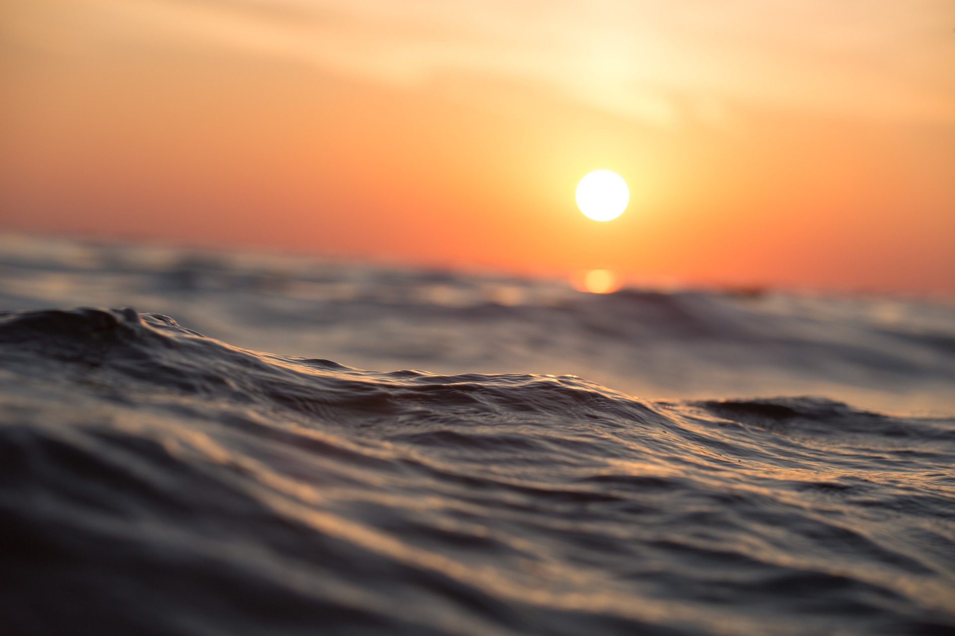 La température à la surface des océans à un niveau inédit