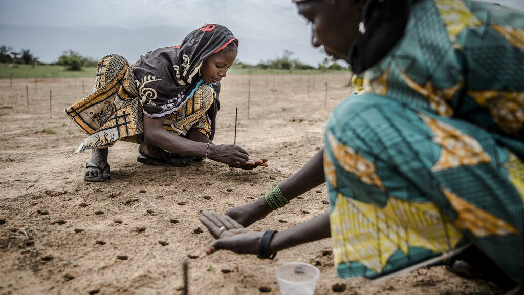 Sahel en surchauffe : La main de l&rsquo;homme derrière la canicule mortelle