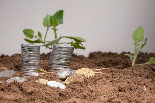 Vers la fin du Franc CFA ?
