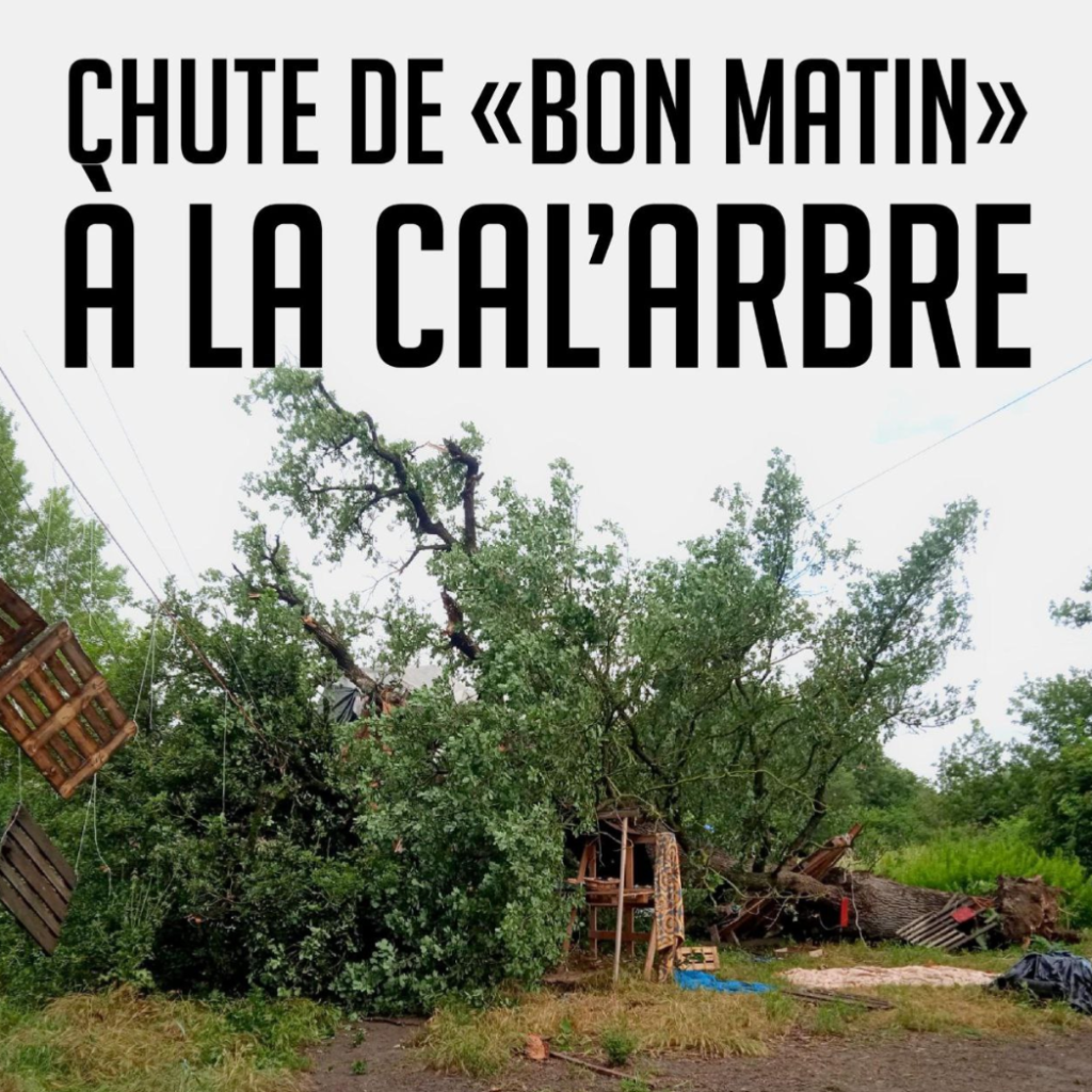 A69: Deux militants gravement blessé a la Crem’Arbre