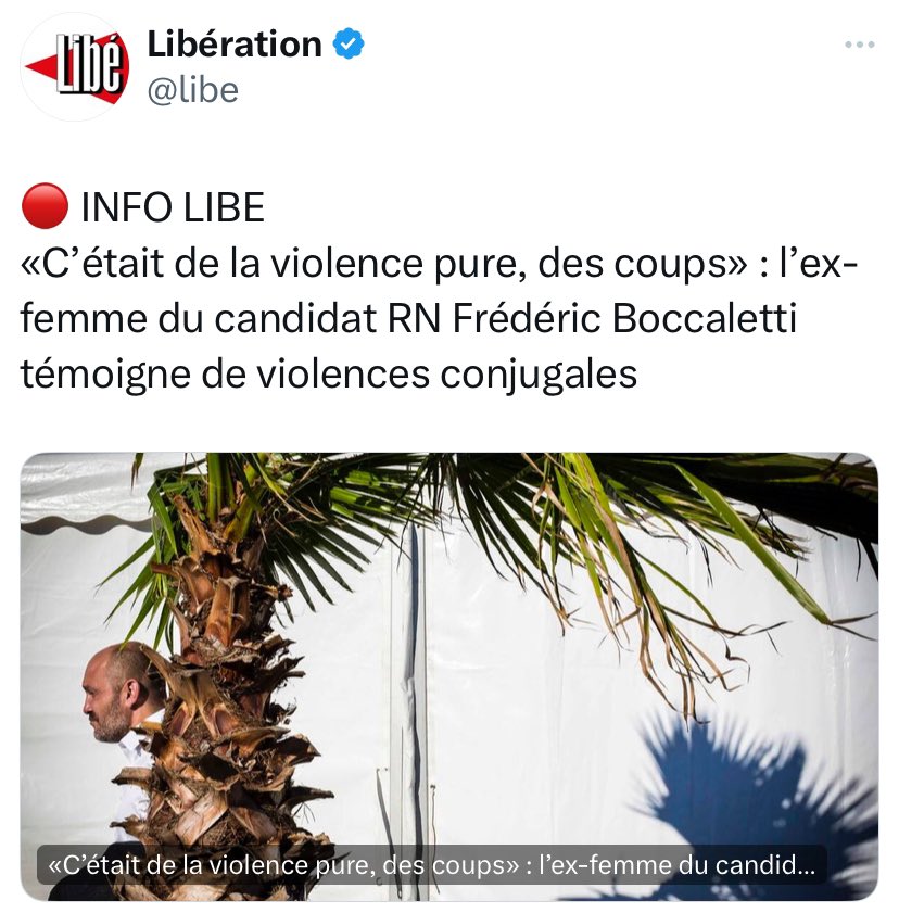« C&rsquo;était de la violence pure, des coups » : l&rsquo;ex-femme du candidat RN Frédéric Boccaletti témoigne de violences conjugales