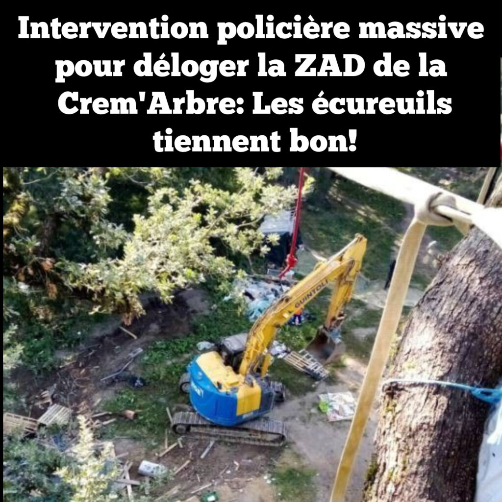 Intervention policière massive pour déloger la ZAD de la Crem&rsquo;Arbre: Les écureuils tiennent bon!