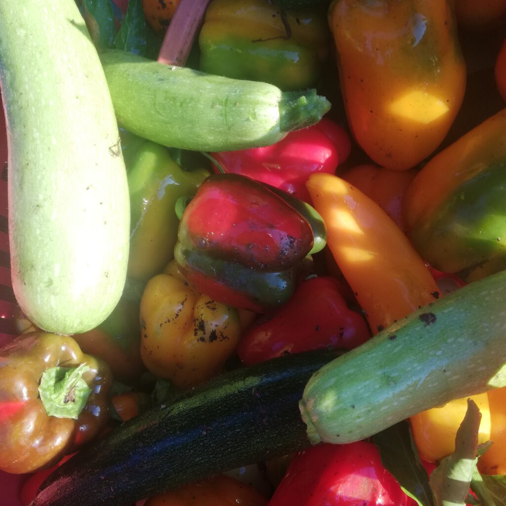 Chambres d’agriculture : appel au boycott (n°1)