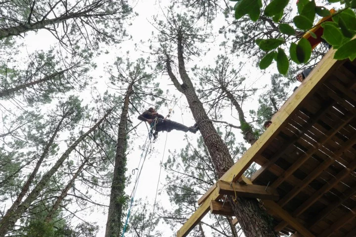 Des » écureuils » dans les arbres pour bloquer la THT entre la France et l’Espagne !