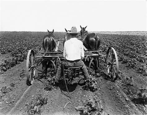 Loi agricole : l’écologie balayés, le productivisme triomphe