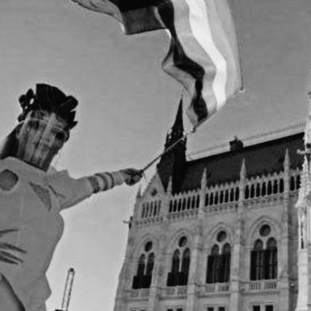 Hongrie: Une loi interdit la Marche des Fiertés