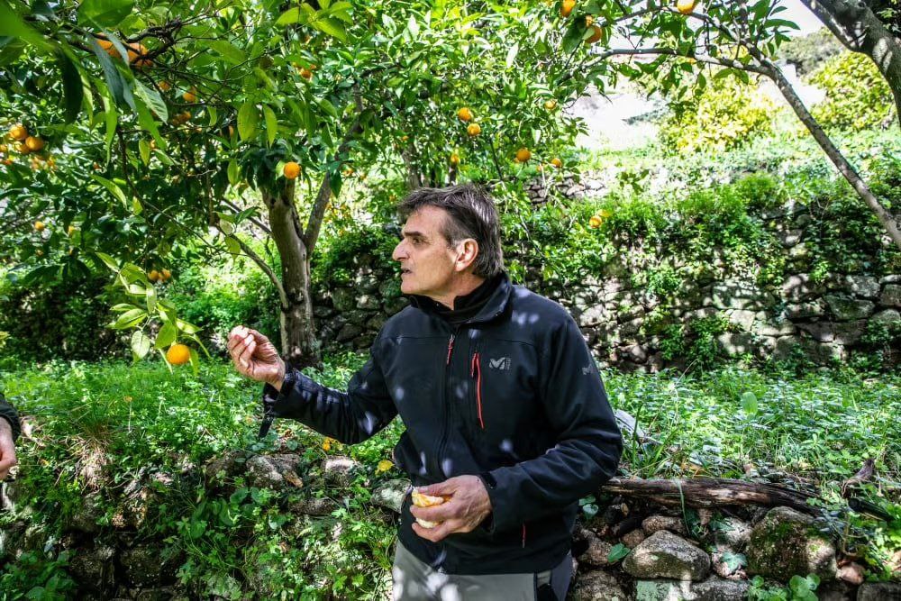 Pierre Alessandri Lanceur d’alerte, syndicaliste, paysan : une vie de lutte fauchée par les balles