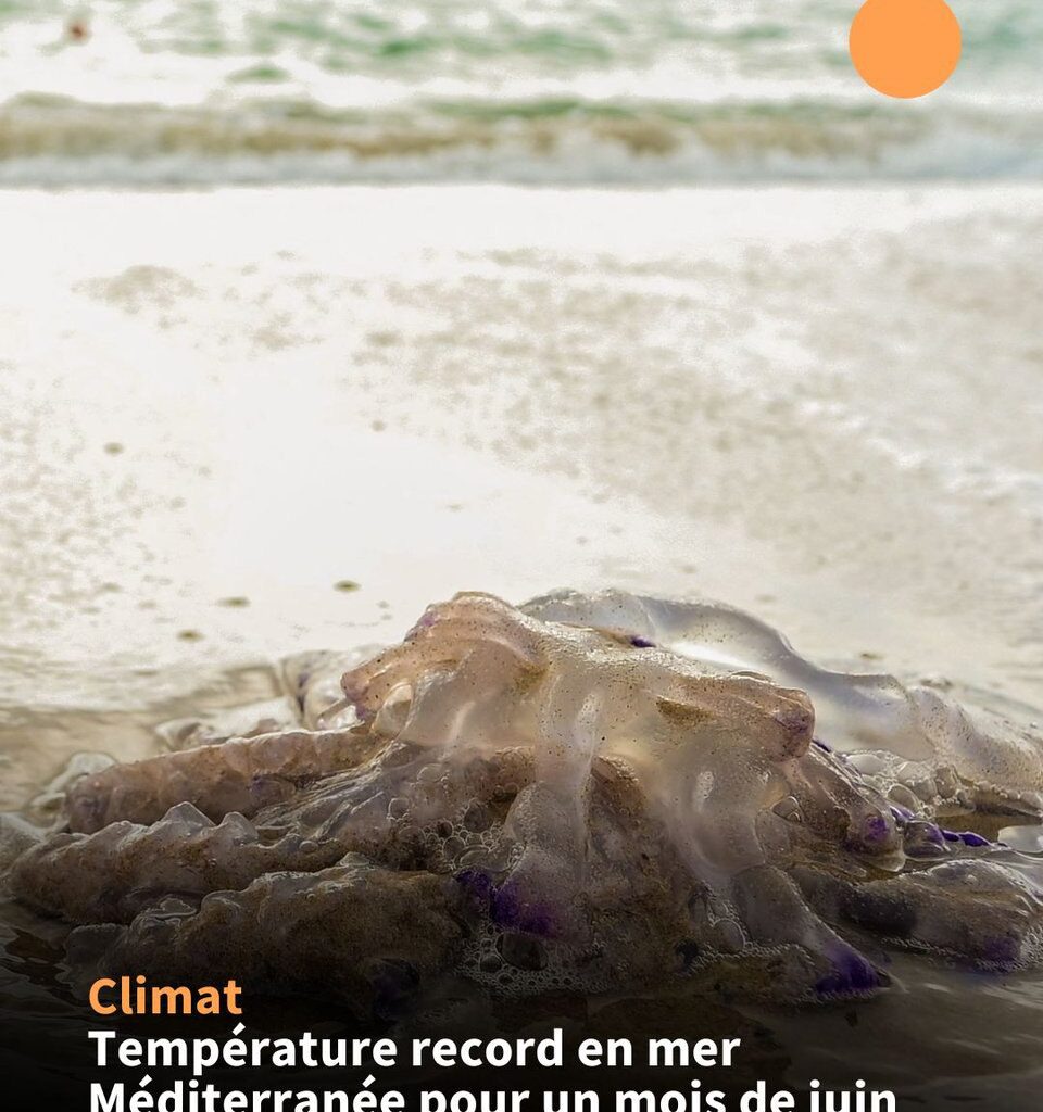 La Méditerranée tape les 26,°C en juin, record battu. Les poissons transpirent, les glaciers fondent, Bardella cherche la clim dans une voiture de golf mais pas de panique tout va bien madame la banquise.